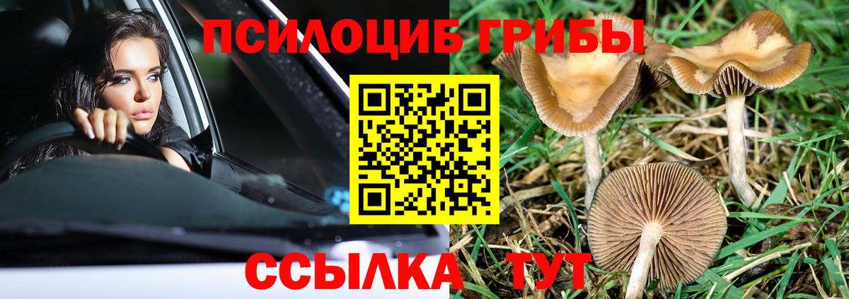 Псилоцибиновые грибы мухоморы Батайск